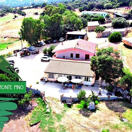 Agriturismo Monte Pino Telti Exterior foto