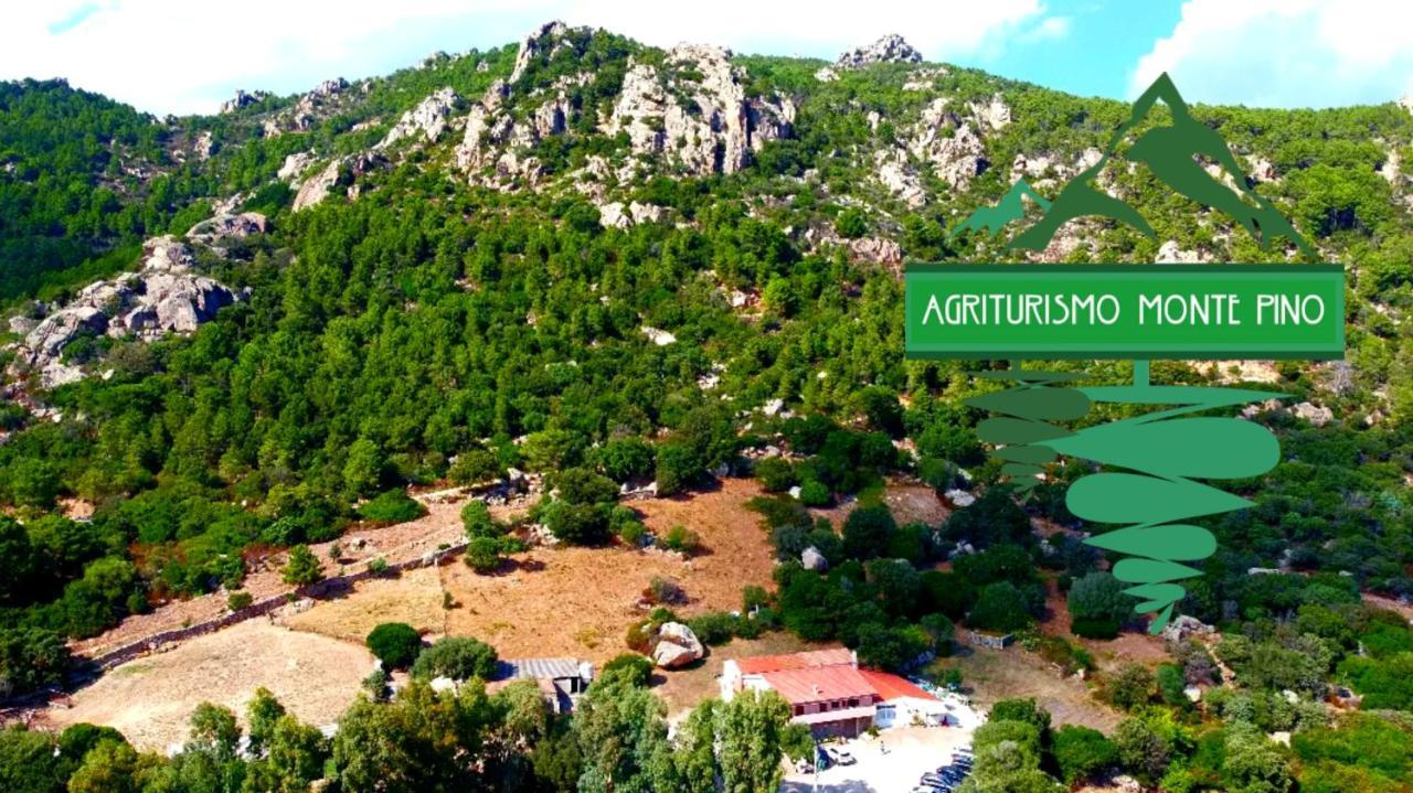Agriturismo Monte Pino Telti Exterior foto