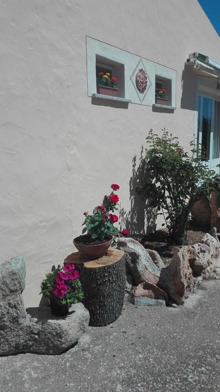 Agriturismo Monte Pino Telti Exterior foto
